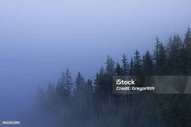 Forest Stockfoto und mehr Bilder von Anhöhe - Anhöhe, Baum, Berg