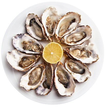 Fresh open oysters served with lemon slices on white plate, isolated on white background.