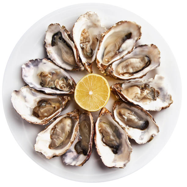 Fresh open oysters served with lemon Fresh open oysters served with lemon slices on white plate, isolated on white background. oyster stock pictures, royalty-free photos & images