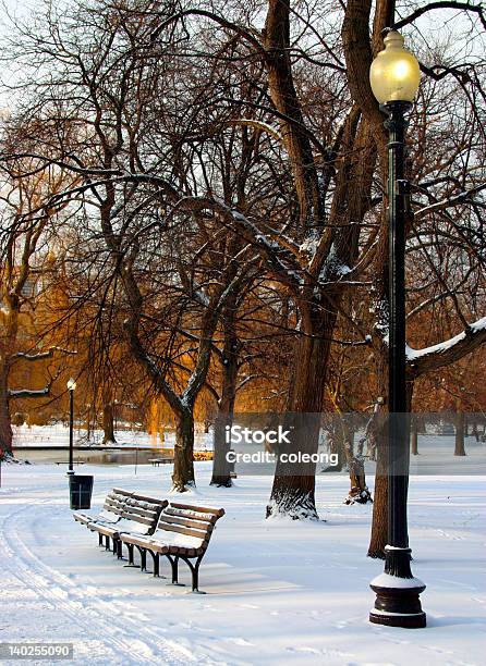 Boston Public Garden Stock Photo - Download Image Now - Back Bay - Boston, Winter, Bare Tree