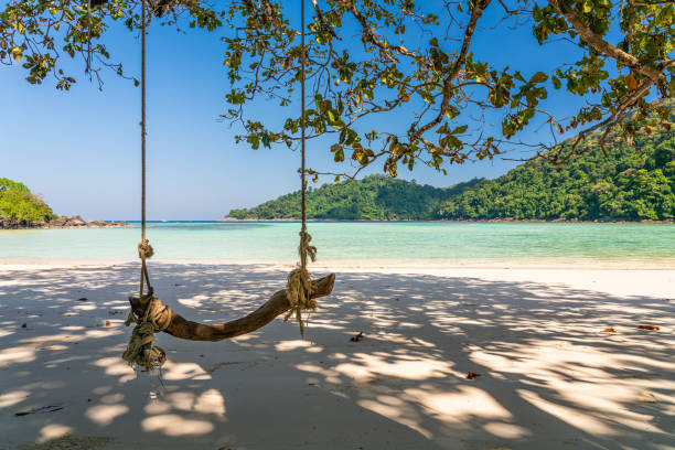 Wooden swing on beautiful white sand beach, Surin island national park, Phang nga, Thailand stock photo