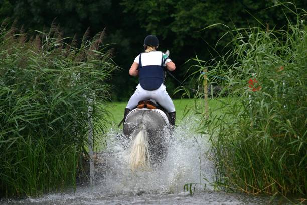 show jumping competition