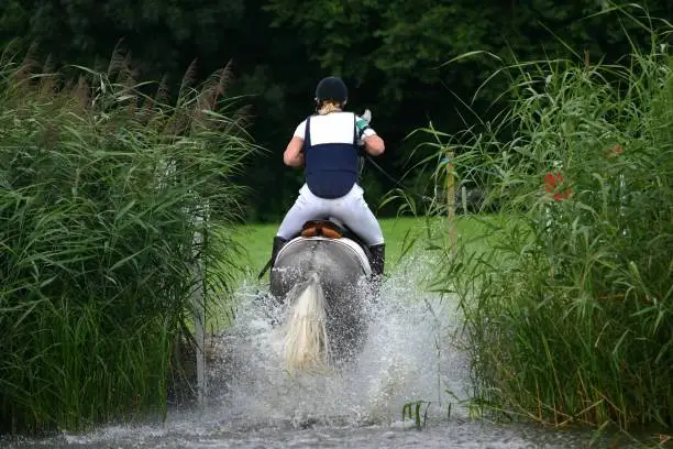 A grey horse jumping out of the water during a cross-country race