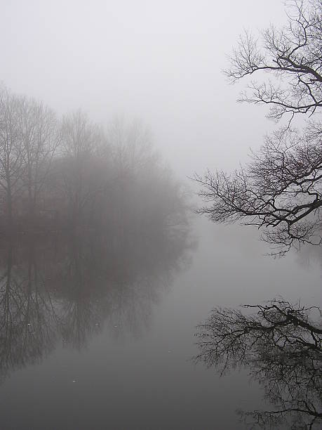 River Fog Winter Branches stock photo