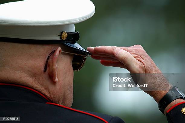 Old Marine Salutes Stock Photo - Download Image Now - Veteran, Senior Adult, Saluting