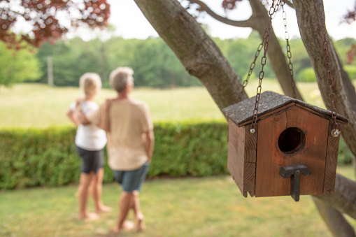 View past bird house hanging from tree branch