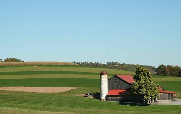 istock Larry Ville Farm Fall 140255629