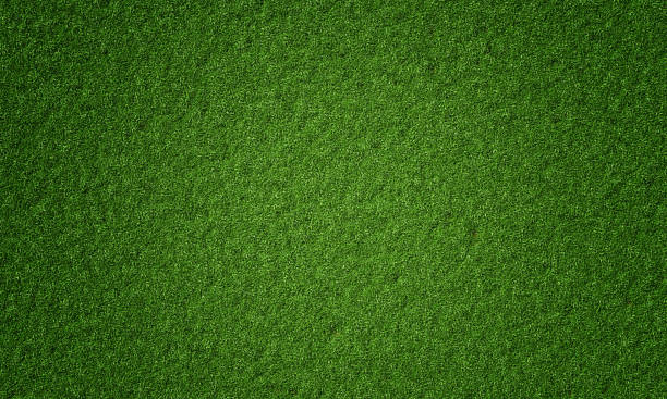 Top view of natural fresh green grassy background. Nature and wallpaper concept. 3D illustration rendering stock photo
