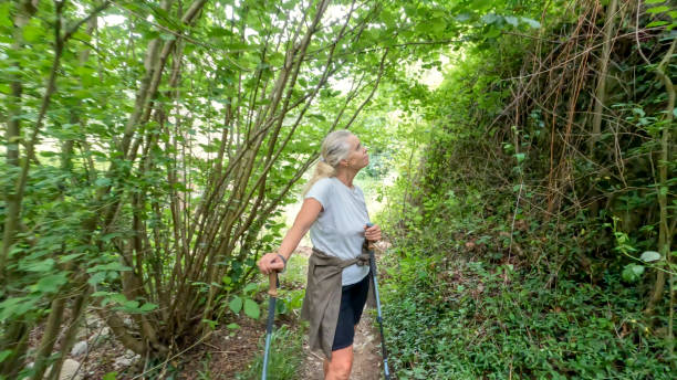 istock Female hiker follows trail through lush forest 1402556350