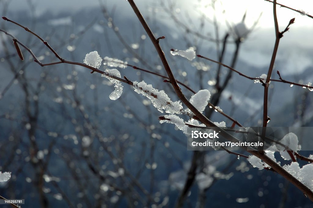 Agence glacial - Photo de Chaîne de montagnes libre de droits