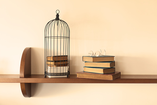 A bird cages books and an eyeglass on a shelf