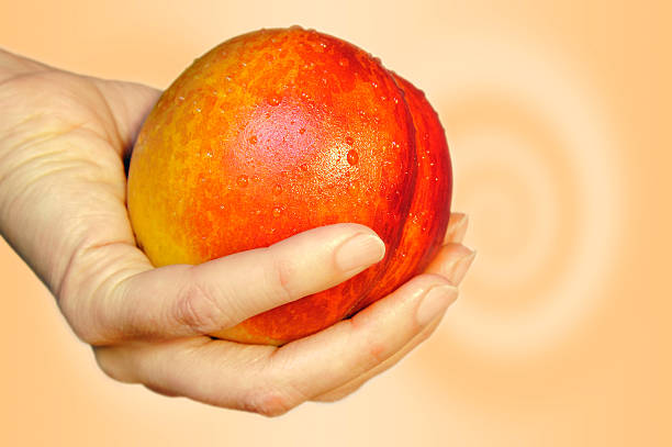 istock woman holding a peach 140256185
