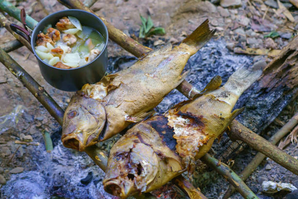 Grilling fish and boiling cooking pot with soup on campfire in forest. camping life.