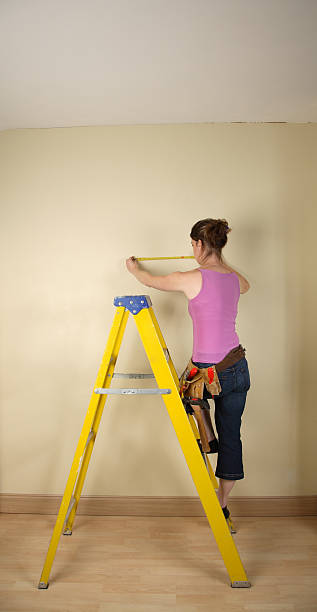 istock Home improvement with woman on ladder 140256277