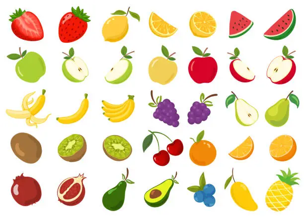 Vector illustration of fruit collection set illustration cartoon