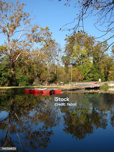 Jesienny Poranek Na Rzeka Bay - zdjęcia stockowe i więcej obrazów Bez ludzi - Bez ludzi, Czerwony, Drzewo