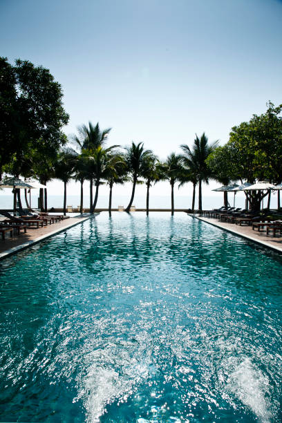 istock Modern House with Private Swimming Pool 1402569651