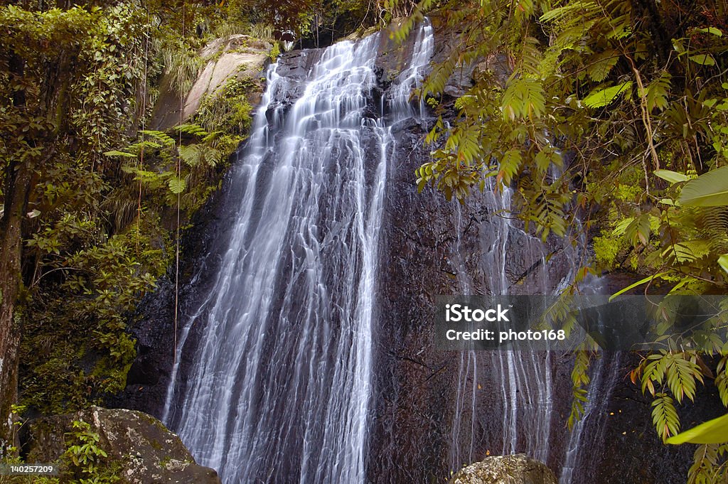 Rain forest water falls lush green water falls of rain forest, Puerto Rico Clean Stock Photo