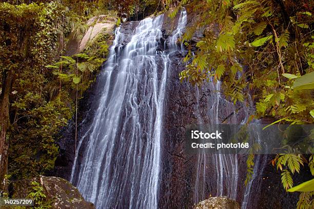 Rain Forest Water Falls Lush Green Stock Photo - Download Image Now - Clean, Clear Sky, El Yunque Rainforest