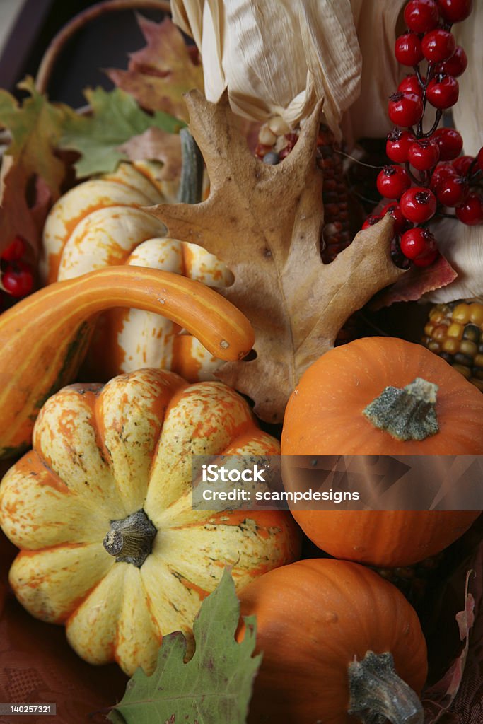 Celebración del Día de Acción de Gracias en el otoño Harvest - Foto de stock de Abundancia libre de derechos