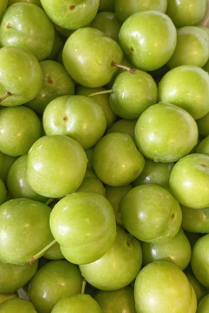 istock green plum ready to eat close up 1402574100
