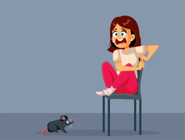 Miedo De Ratones - Banco de fotos e imágenes de stock - iStock Miedo De Ratones - Banco de fotos e imágenes de stock - iStock