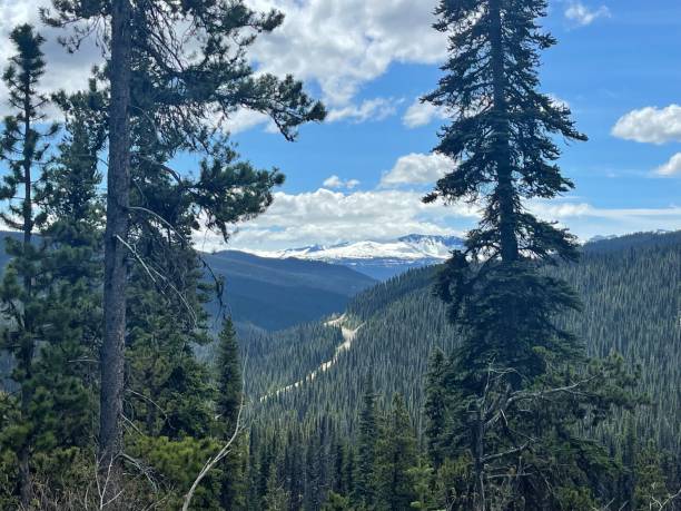istock Dirt road through treelined mountainous Canadian wilderness 1402579189