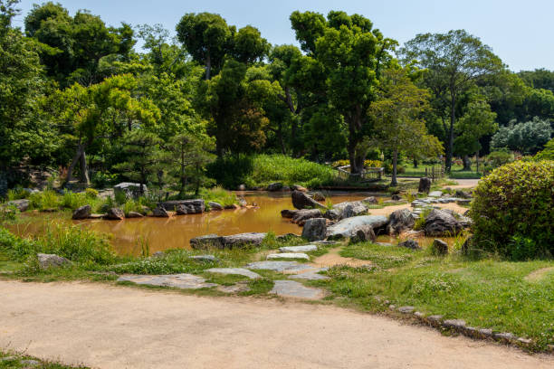 istock A pond in the green garden 1402582660