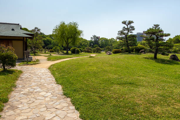 istock A path through grass field in the garden 1402582741
