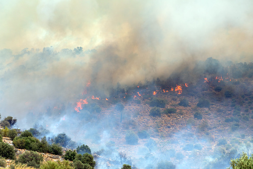 Summer wildfire on Hymettus mountain in Attica, Greece