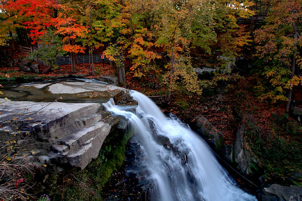 wasserfall brandywine falls - nationalpark stock-fotos und bilder