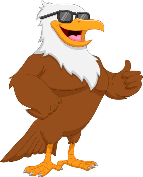 cartoon cute eagle wearing sunglasses and thumbs up vector illustration of cartoon cute eagle wearing sunglasses and thumbs up cartoon of bird with glasses stock illustrations