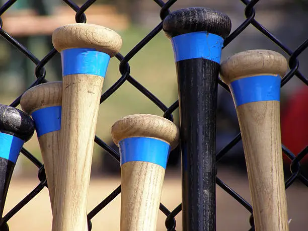 Baseball bats leaning against a batting cage.