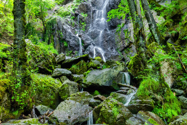 istock Waterfall Samodivsko praskalo in Rhodope mountains, Bulgaria 1402585148