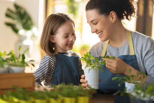 Cute child girl helping her mother to care for plants. Mom and her daughter engaging in gardening at home. Happy family in spring day.