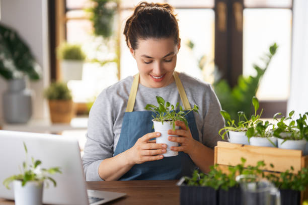 istock Woman caring for plants 1402585397