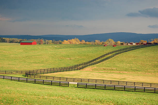 Horse farm, Virginia stock photo