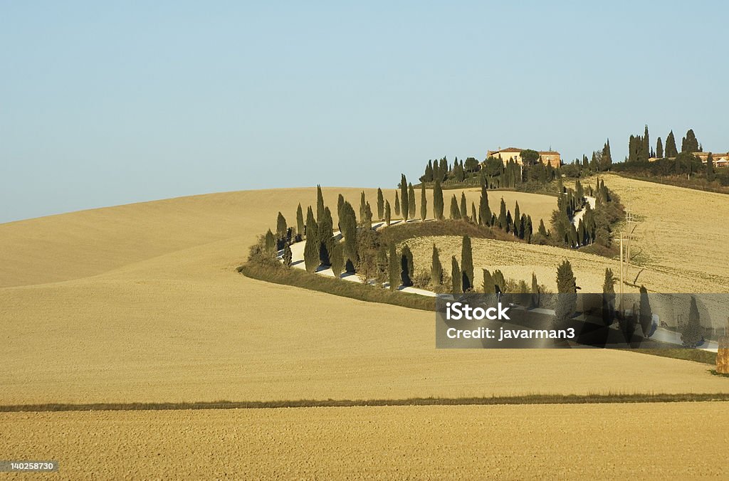 paisagem Toscana - Royalty-free Agricultura Foto de stock