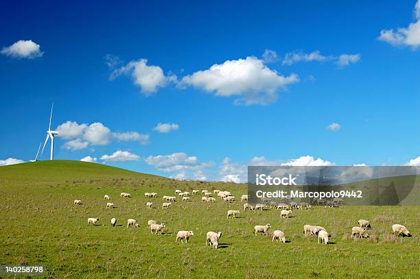 Country Field Stock Photo - Download Image Now - Agricultural Field, Agriculture, Blue