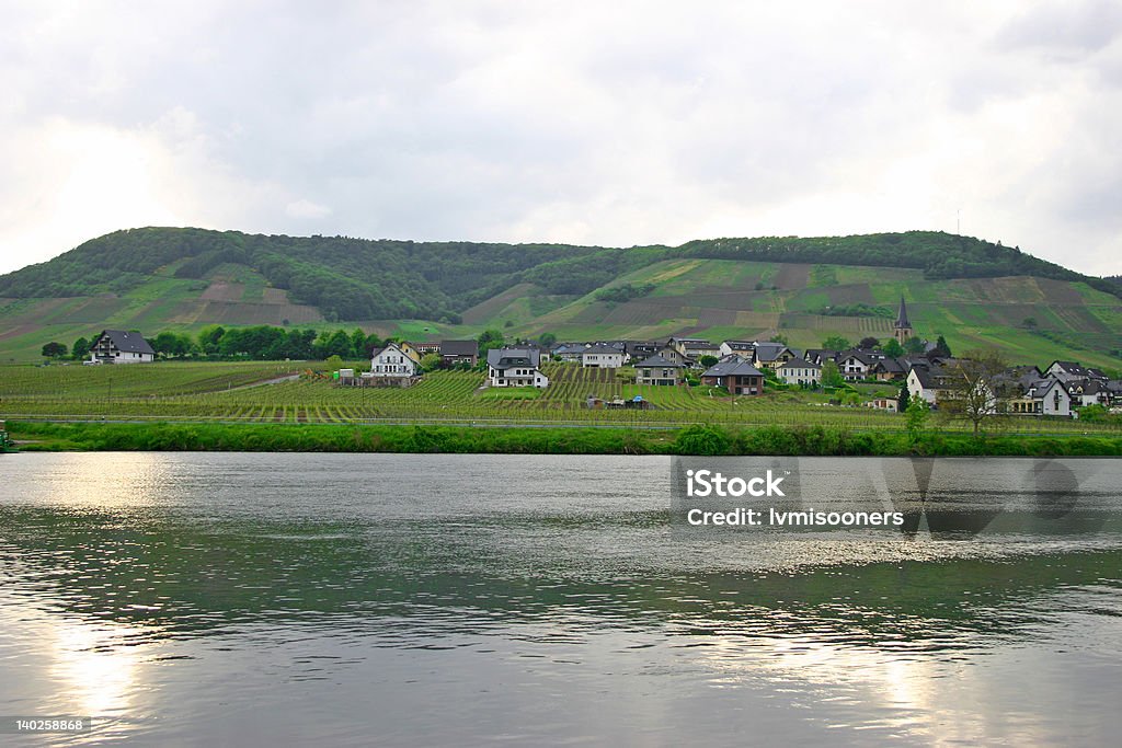 Village no rio Mosel - Foto de stock de Agricultura royalty-free