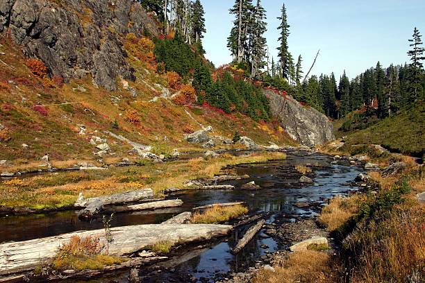 couleurs de l'automne-incroyable&nbsp;! - north cascades national park cascade range mt baker waterfall photos et images de collection