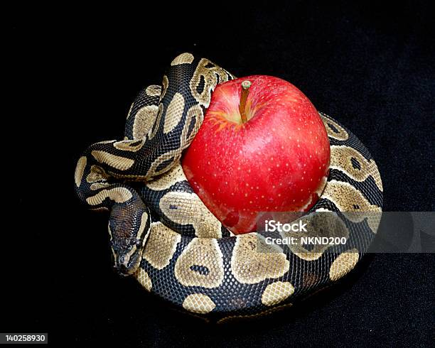 Deceiving Attraction Ii Stock Photo - Download Image Now - Apple - Fruit, Snake, Arrangement