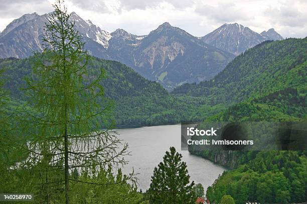 Горный Пейзаж — стоковые фотографии и другие картинки Австрия - Австрия, Весна, Вечнозелёное дерево