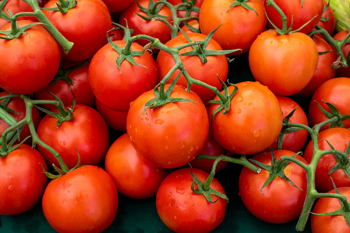 Closeup of pile of red vine tomatoes with droplets of water on farmers market stand