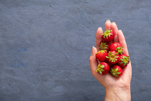 Female hands holding handful of fresh summer strawberries on dark stone background. Sharing fresh strawberries from the garden.