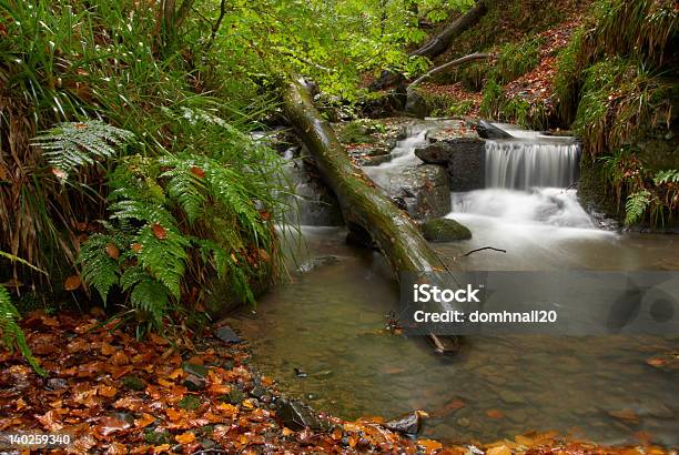 워터풀 In 스코틀랜드 임산 환상적이야 Autumnal 색상 0명에 대한 스톡 사진 및 기타 이미지 - 0명, 가을, 갈색