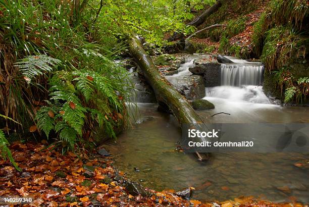 Foto de Cachoeira Na Floresta Escocês Com Cores Fantásticas Outonal e mais fotos de stock de Bolha - Estrutura física