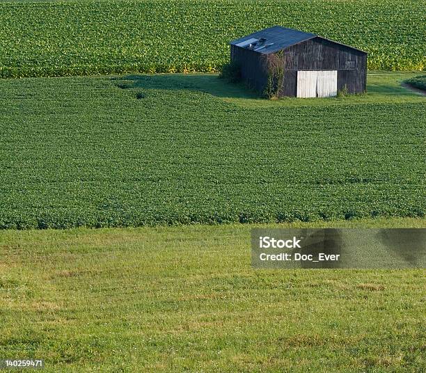 Photo libre de droit de Grange Dans Le Champ banque d'images et plus d'images libres de droit de Agriculture - Agriculture, Agriculture biologique, Chaleur