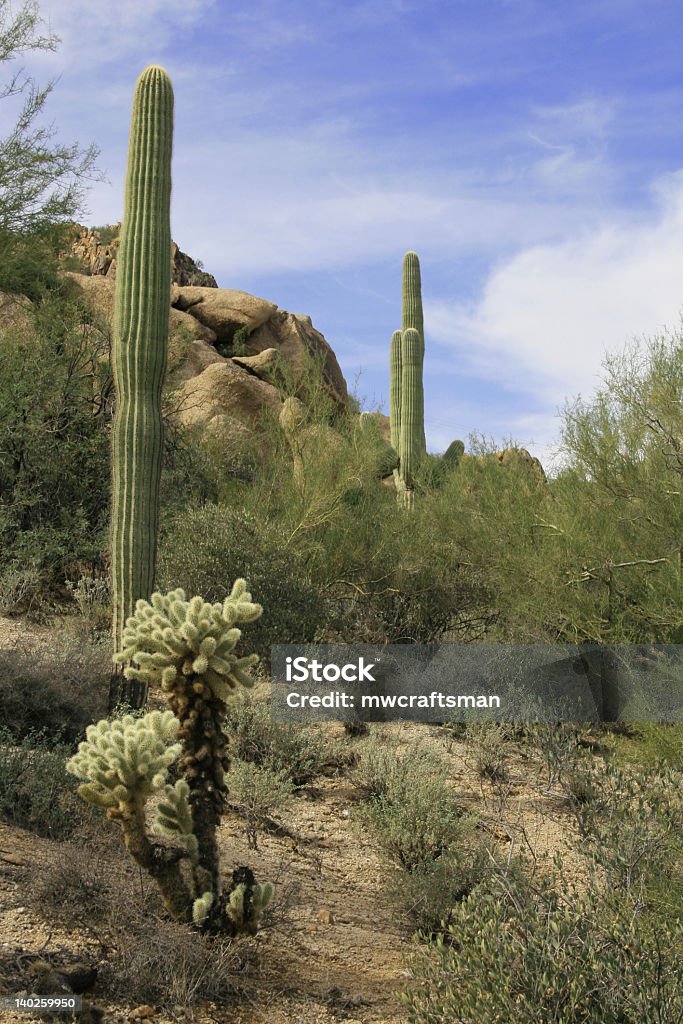 abandon Cave Creek Arizona Abandoned Stock Photo