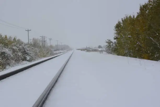 Photo of Winter Train Tracks